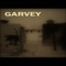 Spiralling - Garvey lyrics