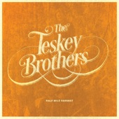 The Teskey Brothers - Shiny Moon