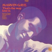 Marvin Gaye - So Long