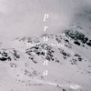 Pruina - Single