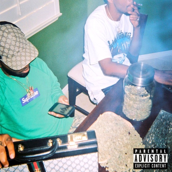 Cover artwork for Picture Me Rollin