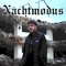 Nachtmodus (feat. Johnson & Jiri11) artwork