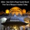 Adhan - Azan (Call to Prayer Sounds) Record from Tens of Mosques in Istanbul Turkey artwork