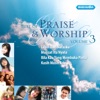 Best Of Praise & Worship, Vol. 3