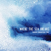 Where the Sea Breaks (with Marilyn Mazur & Klavs Hovman) artwork