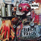 Frank Zappa, The Mothers Of Invention - Theme From Burnt Weeny Sandwich