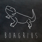 Boagrius - Vertigo