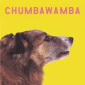 Chumbawamba - I'm in Trouble Again (LP Version)