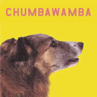WYSIWYG - Chumbawamba