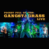 Pocket Full of Fire: Gangstagrass (Live) artwork