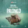 Palongo (feat. Musilliu Ishola) song lyrics