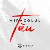 Miracolul Tău - EP artwork