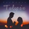 Pál Dénes - Tulipán