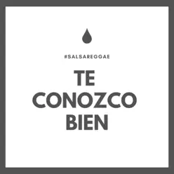 Te Conozco Bien - Single - Ray BG Te Conozco Bien - Single - Ray BG