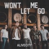 Won't Let Me Go - Single