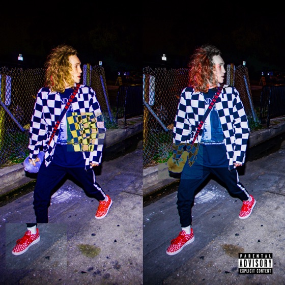 Cover artwork for The Same