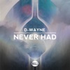 Never Had (Extended Mix) - Single