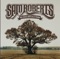 Higher Learning - Sam Roberts lyrics