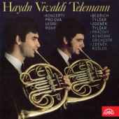 Haydn, Vivaldi, Telemann: Concertos for 2 French Horns and Orchestra artwork