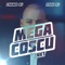 Mega Coscu - Fedu DJ lyrics