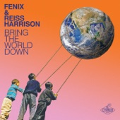 Bring the World Down (Radio Mix) artwork