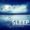 Sleepy Little Panda - Restful Sleep Academy lyrics
