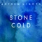 Stone Cold - Anthem Lights lyrics
