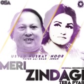 Meri Zindagi Tera Pyar artwork