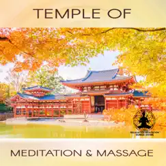 Temple of Meditation & Massage: Oasis Sound of Nature, Healing Spa & Wellness, Relaxing Yoga, Reiki, Background Ambience for the Perfect Rest by Relaxation Meditation Songs Divine album reviews, ratings, credits