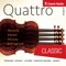 Concerto for four Violins in D Major, TWV 40:202: I. Adagio. Allegro artwork