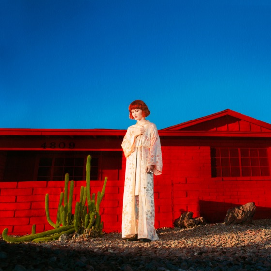 Cover artwork for Lion