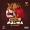 Muliwa - Hitnature lyrics