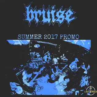 last ned album Bruise - Summer 2017 Promo