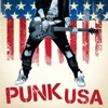 Punk USA artwork