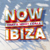 NOW That's What I Call Ibiza artwork