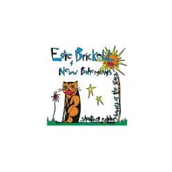 Shooting Rubberbands at the Stars - Edie Brickell