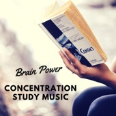 Concentration Study Music - The Best Study Music that Make Increases your Brain Power artwork