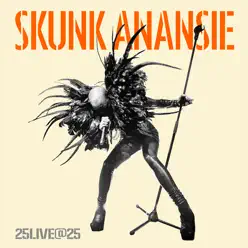 25Live@25 - Skunk Anansie