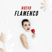 Nueva vida (Radio Edit) artwork