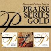 Praise Series Gold artwork