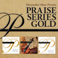 Various Artists - Praise Series Gold artwork