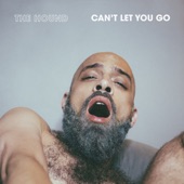 Can't Let You Go artwork