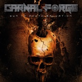 Carnal Forge - Bound in Flames