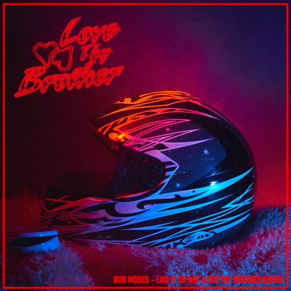 Like It or Not (Love Thy Brother Remix) - Single - Bob Moses