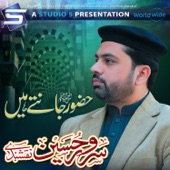 Hazoor Jantey Hain artwork