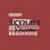 Stream & download New Beginning - Single