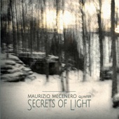 Secrets of Light artwork