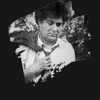 Nicolae Sulac - Foaie Verde Magheran