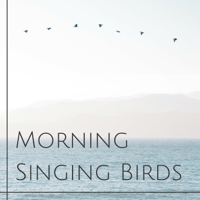 Bird Songs Nature Music Specialists - Morning Singing Birds - Pure Lovely Nature Sounds for Wellness, Good Morning Rountine artwork