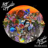 Brighter Future Remixed artwork